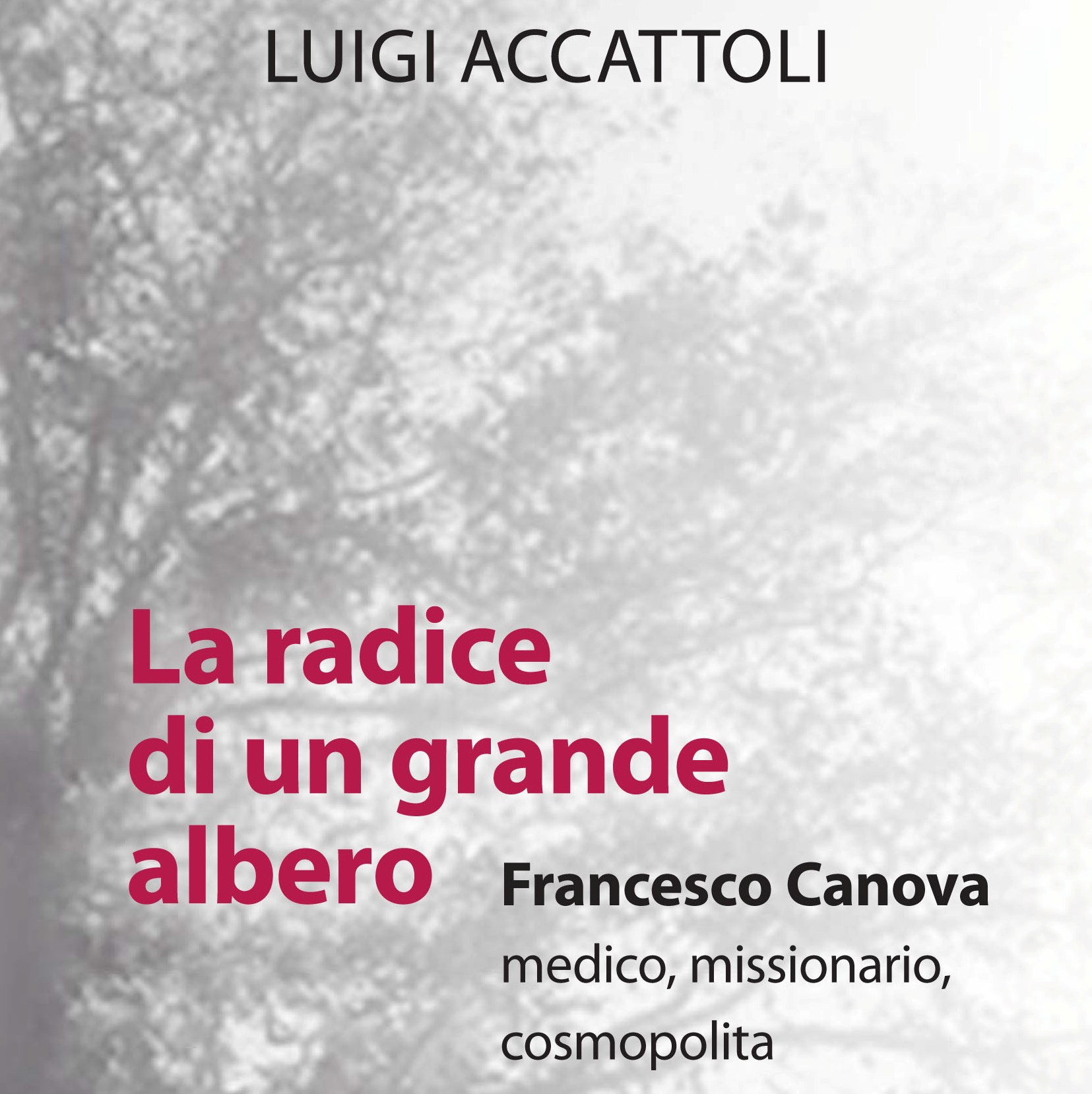 Luigi Accattoli presenta a Valdagno il suo nuovo libro