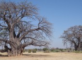 angola siccità cunene ospedale di chiulo