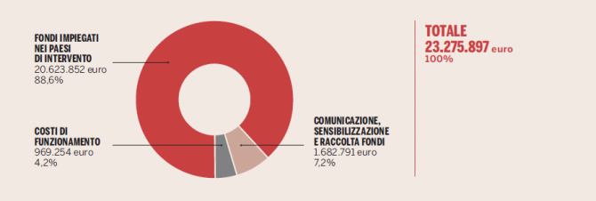 grafici-annual-report-usato